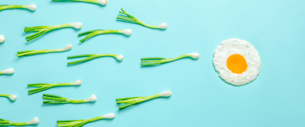 alimentation et fertilite gomama