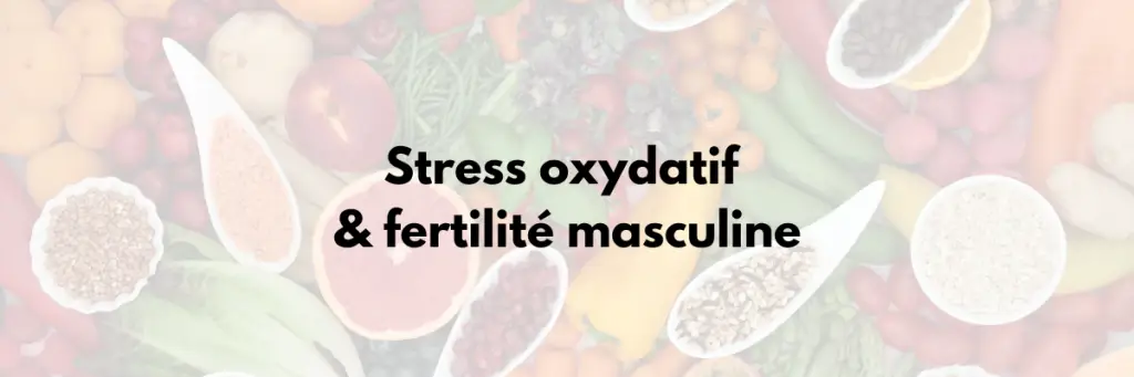 Stress oxydatif & Fertilté masculine