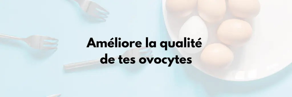 qualité des ovocytes